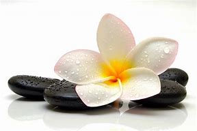 Aroma Therapy
